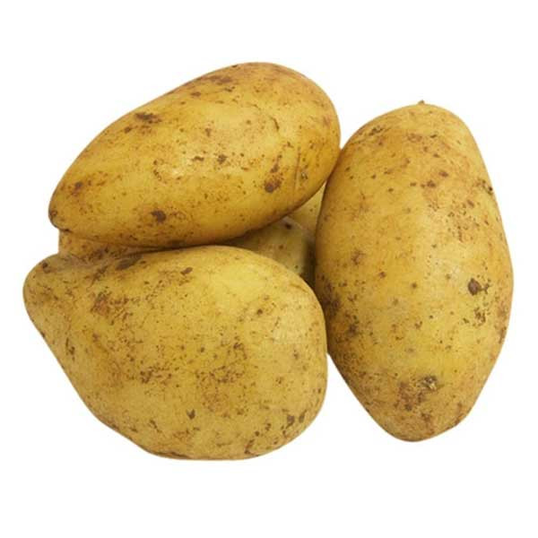 بطاطس