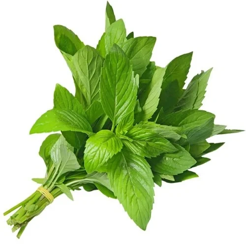 حزمه نعناع