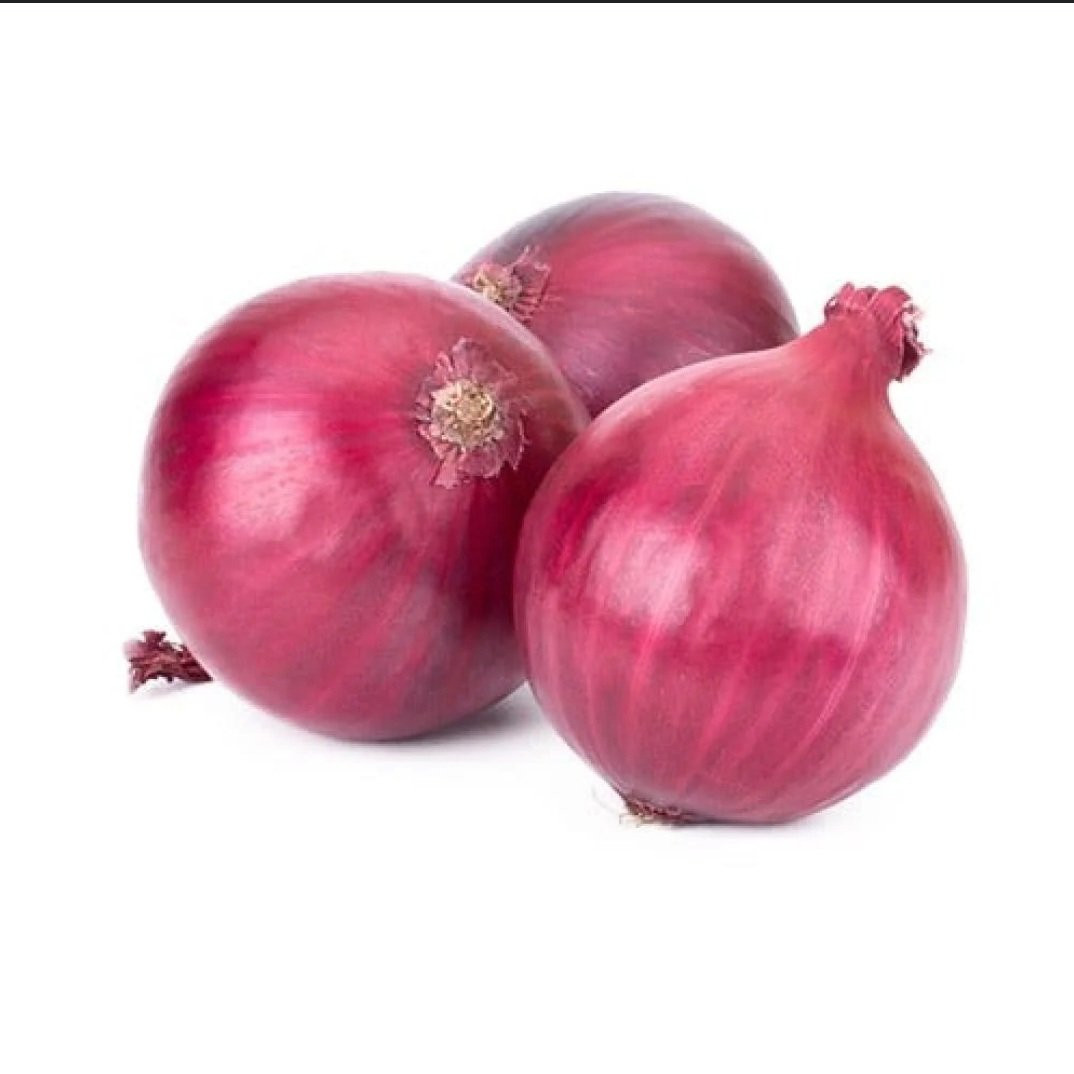 بصل احمر